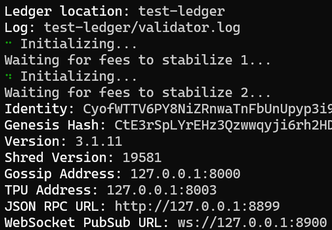 localnet spinning up